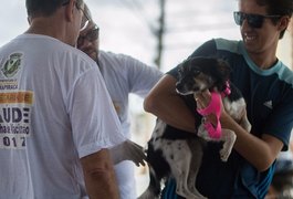 Vacinação contra a raiva tem início nesta segunda-feira na Zona Rural