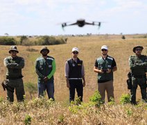 FPI flagra área desmatada equivalente a mais de 200 campos de futebol em Lagoa da Canoa e São Sebastião