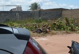 Populares encontram crânio humano na Praia do Francês