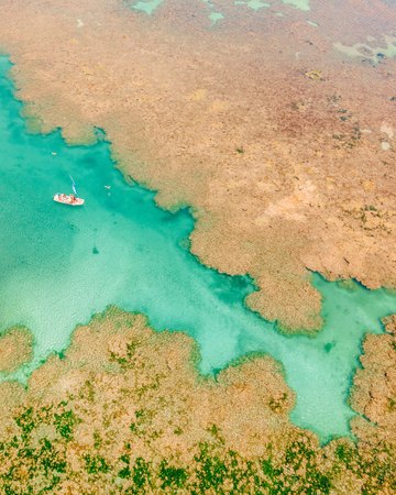 News title