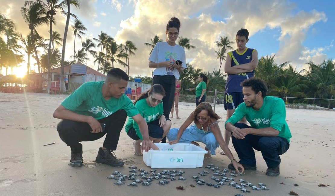 VÍDEO: 85 filhotes de tartaruga-oliva são soltos no mar da Praia de Guaxuma, em Maceió