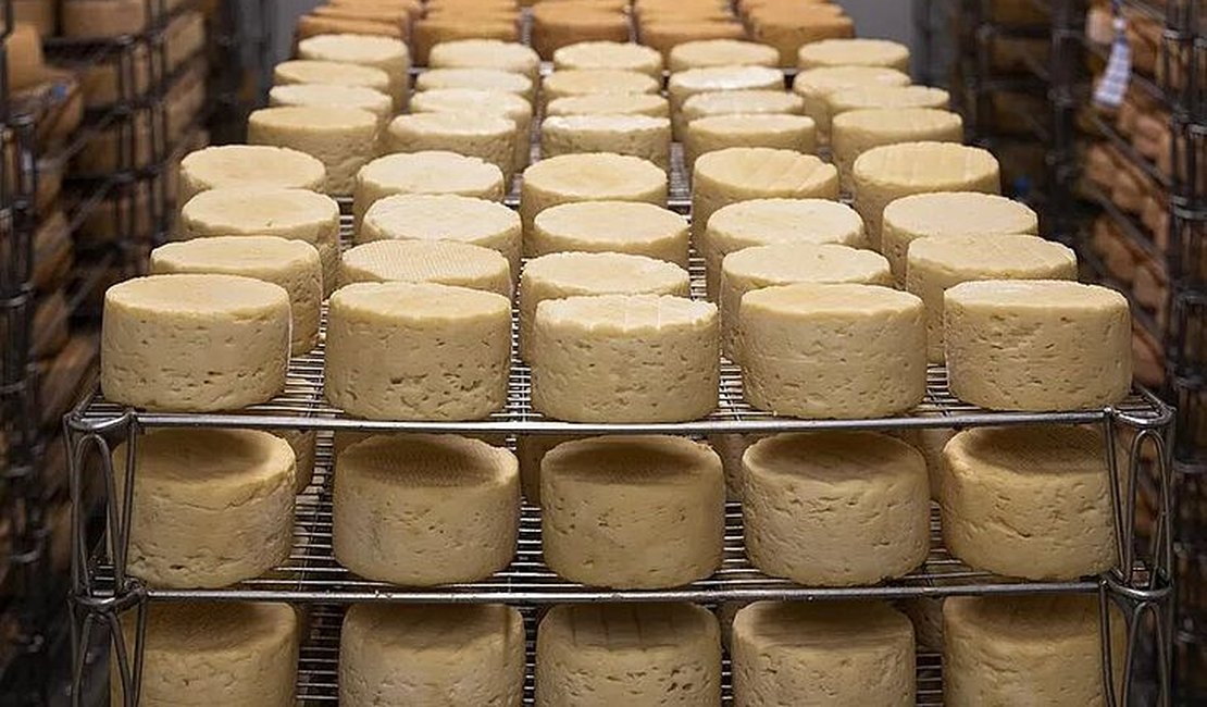 Italiano morre após ser esmagado por toneladas de queijo