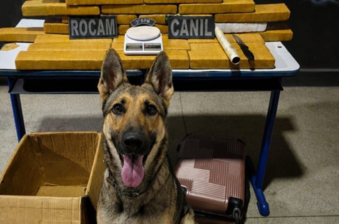 Mais de 25kg de drogas são apreendidos pelo 3° Batalhão da PM em ação no bairro Massaranduba