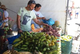 Feira Orgânica da Semarh acontece no domingo (11) na Ponta Verde