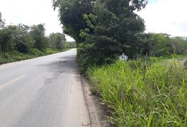 Carro capota na Serra do Muros, na AL 210, em Palmeira dos Índios