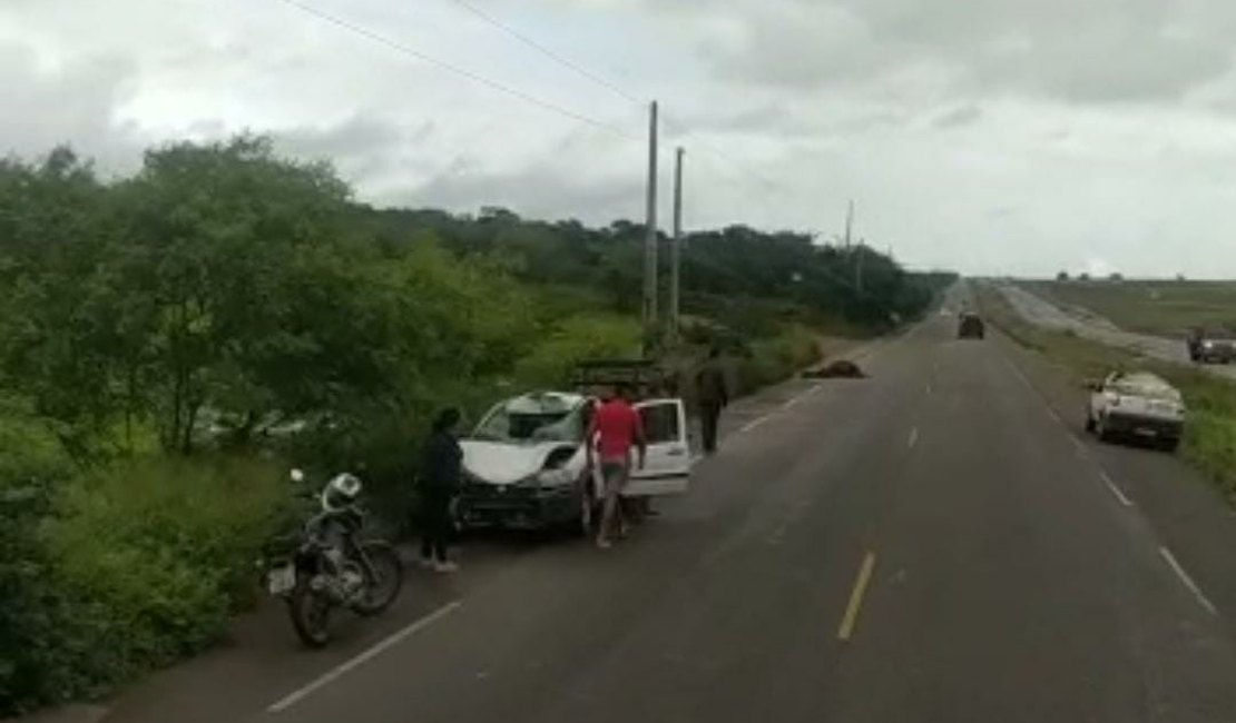 Veja o vídeo: Carro atinge cavalo solto na pista em Girau do Ponciano