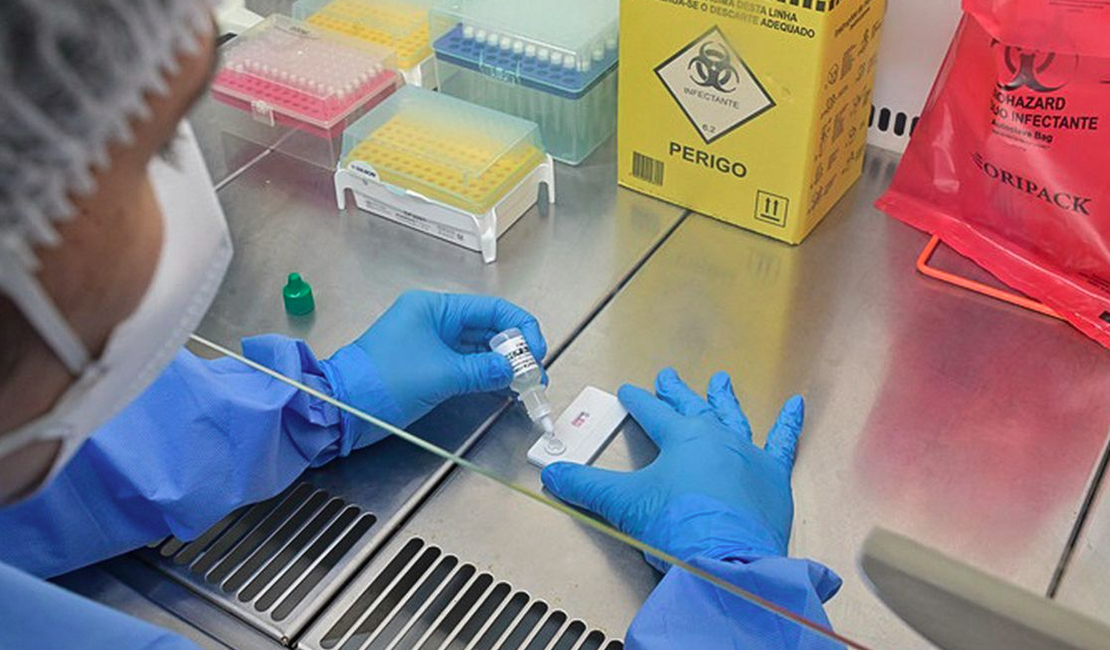 Minas Gerais registra primeira morte por hantavírus no ano; saiba como a doença é transmitida