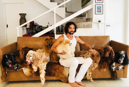 Entenda como cães de Jeff Machado foram fundamentais para a localização do corpo do ator