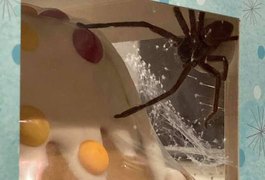 Mulher leva susto ao encontrar aranha enorme em doce comprado em supermercado