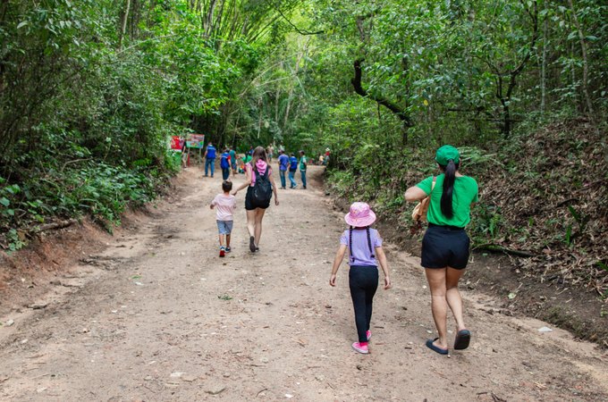 Parque Municipal de Maceió fecha trilhas para manutenção