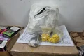 Drogas são apreendidas em encomendas enviadas pelos Correios