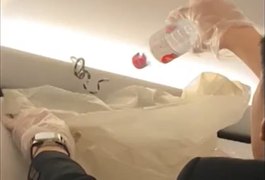 Cobra 'invade' avião na Tailândia e assusta passageiros