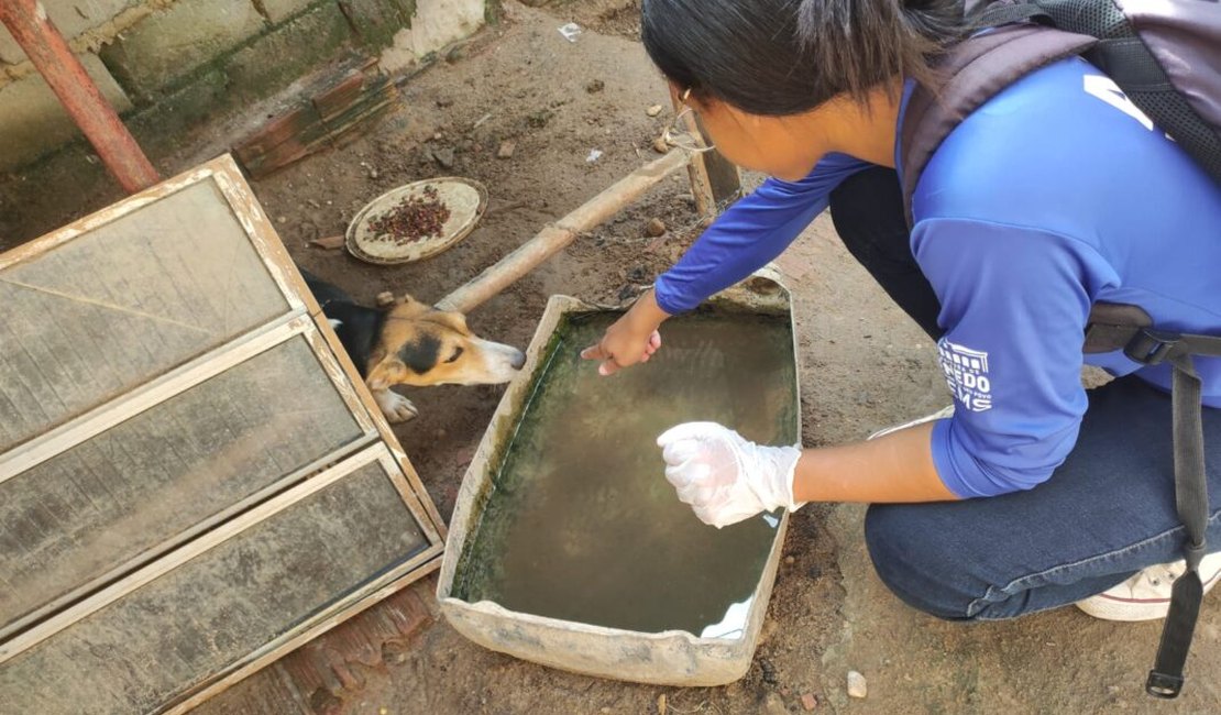 Secretaria de Saúde de Penedo realiza mutirão contra a dengue em conjuntos do bairro Dom Constantino