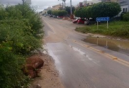 Descarga elétrica mata cavalo e dá choque em 7 pessoas no Sertão