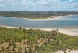 IMA sobrevoa praias do Litoral Norte para tentar identificar novos pontos de maré vermelha