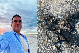 André Marques é picado por vespa-do-cão nas gravações de 'No Limite'