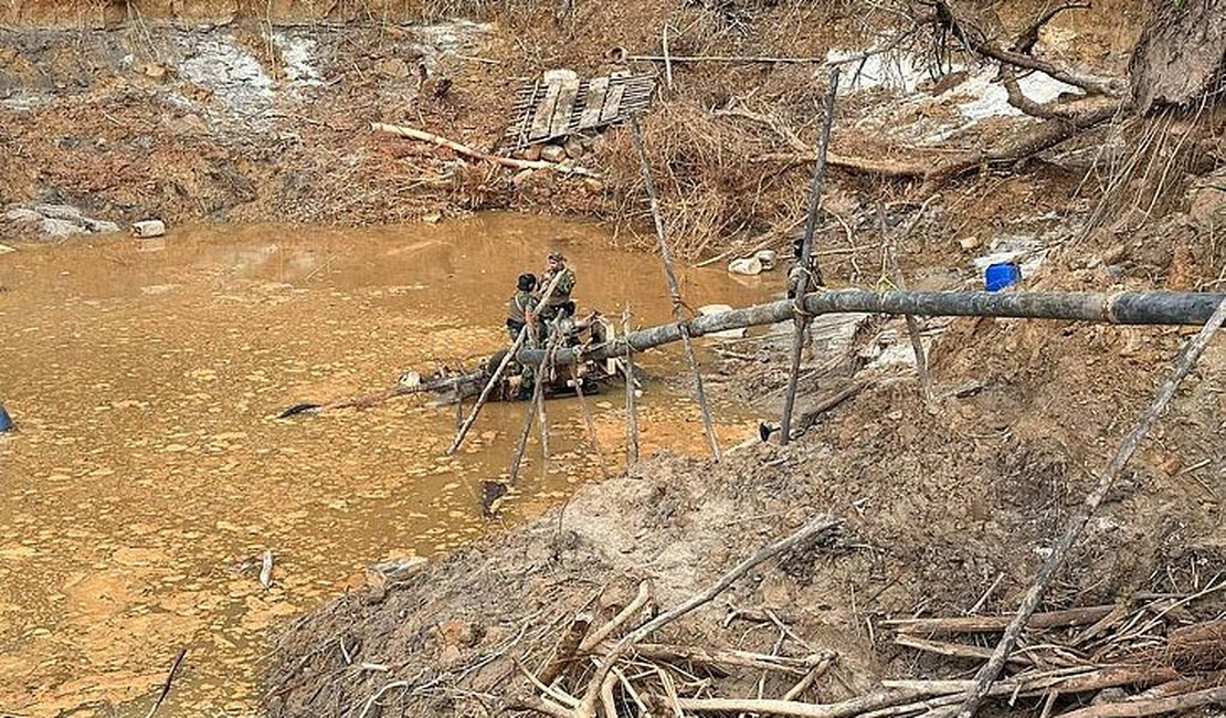 PF apreende armas e equipamentos de garimpeiros no território yanomami