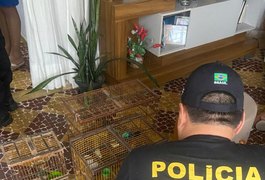 Operação Chauá: Polícia Federal investiga o desvio de aves em zoológico de Rio Largo