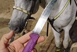 Cavalaria da PM lavra dois TCOs por porte de arma branca em praça pública de Arapiraca