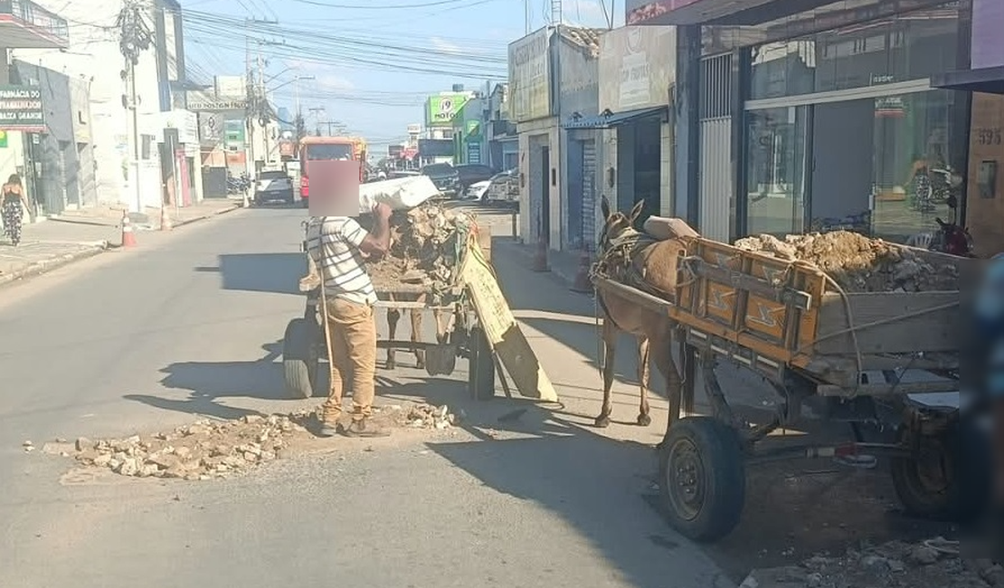 Carroceiros utilizam restos de construções para tapar buracos em via movimentada de Arapiraca