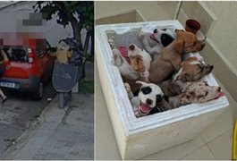 Mulher é flagrada abandonando sete filhotes de cachorro em Belo Horizonte