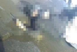 Motociclista é assassinado a tiros em Palmeira dos Índios