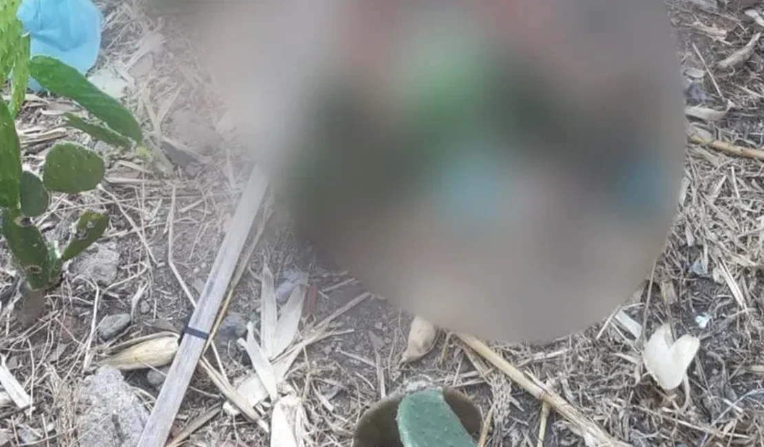 Homem é encontrado morto em terreno baldio no Sertão de Alagoas; suspeito é preso horas depois