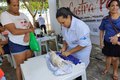 Programa Castra Pet realiza a castração de 40 cães e gatos em Penedo