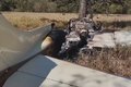 Avião em chamas com 300 kg de cocaína faz pouso forçado em fazenda em Goiás