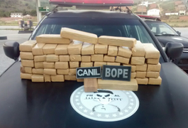 Polícia Militar apreende cerca de 50 quilos de maconha em Alagoas