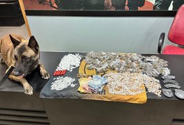 PM contabiliza apreensão de quase 50 quilos de drogas e 25 armas de fogo em uma semana em Alagoas