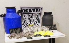 Drogas apreendidas na Canafístula, em Arapiraca