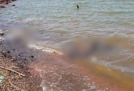 Crianças, avó e mãe morrem afogados em rio tentando salvar um ao outro em SP