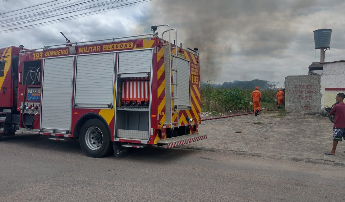 Fogo em vegetação mobiliza Corpo de Bombeiros em Arapiraca