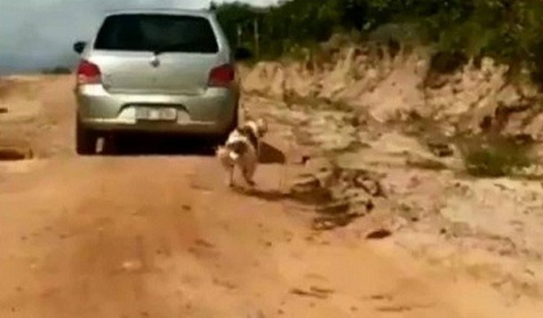 Após vídeo viralizar, homem que arrastou cachorro pela coleira é identificado pela polícia