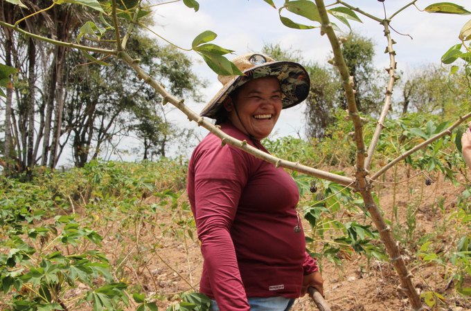 Participação do interior no PIB de Alagoas supera a capital, aponta IBGE