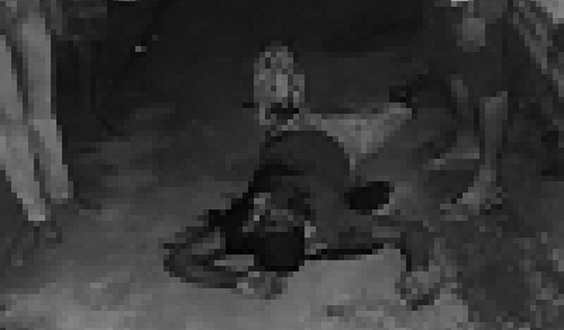 Discussão em família acaba com uma pessoa esfaqueada no Agreste