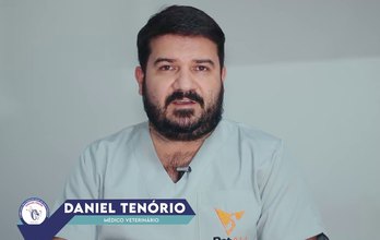 Complexo Tarcizo Freire inicia castração de animais através de Ação Social Pet