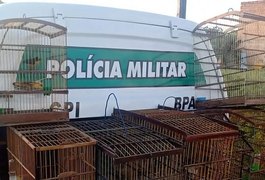 Polícia resgata aves silvestres que estavam com caçador em Marechal Deodoro