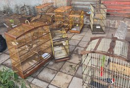 Em combate a crimes ambientais, operação da PM apreende 35 aves silvestres em feira de Maceió