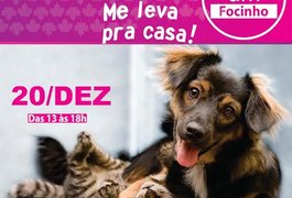 Feira de Adoção de Animais ocorre neste domingo (20), em Arapiraca