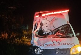 Colisão de ambulância em cavalos deixa dois feridos no interior alagoano