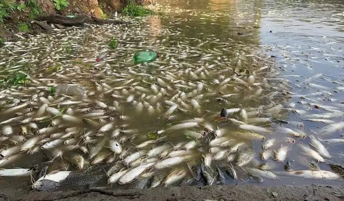 Morte de três toneladas de peixes no Rio Piracicaba é investigada