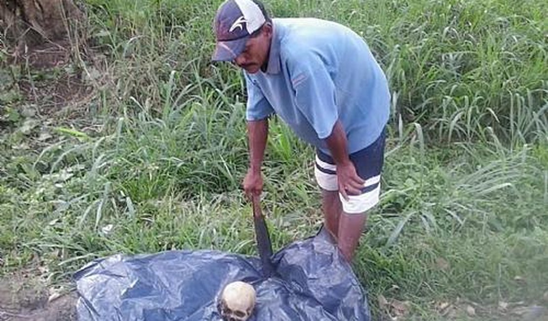 Ossada humana é encontrada por trabalhador às margens da BR-316