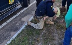 Agentes da PRF salvam menino engasgado