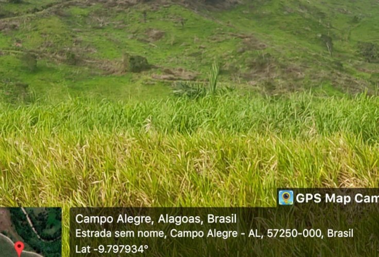 Procuradoria de Campo Alegre denuncia Usina Porto Rico por crime ambiental