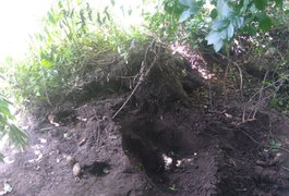 Corpo de homem que estava desaparecido é encontrado em matagal, na cidade de Penedo