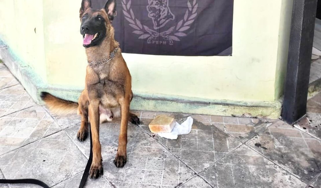 Mulher é presa por tráfico de drogas no interior de Alagoas