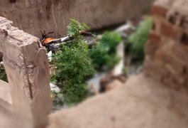 Agente de presídio é assassinado e corpo é jogado em córrego no Manoel Teles, em Arapiraca