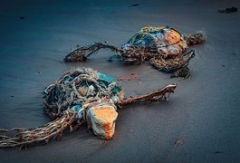 IMA lança exposição e catálogo do VII Concurso de Fotografia Ambiental